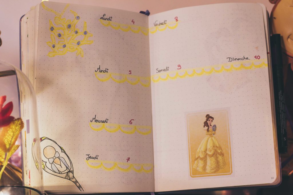 Bullet journal mars 2019 par Red Amentia la belle & la bête