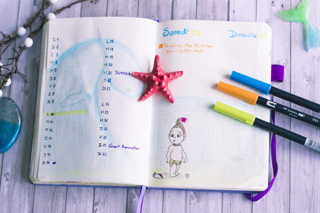 Bullet Journal Bujo juin 2019 Moana