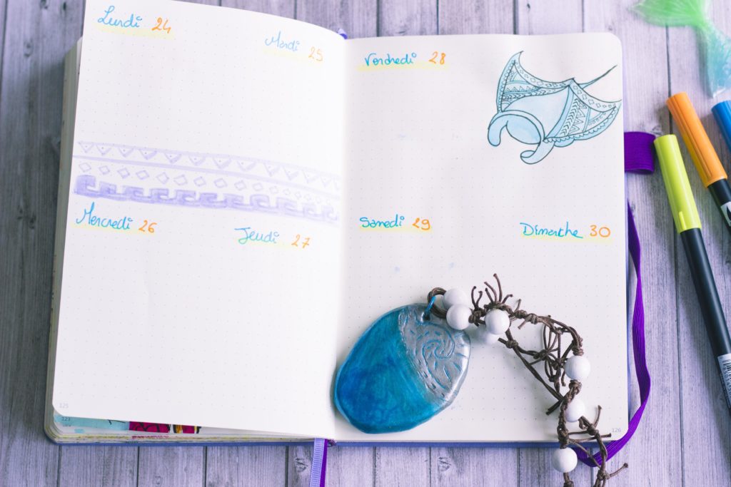 Bullet Journal Bujo juin 2019 Moana